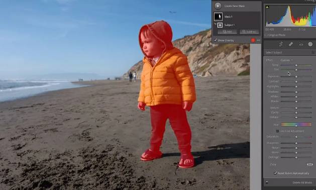 Adobe Lightroom istenmeyen her şeyi kaldıracak - Resim: 4